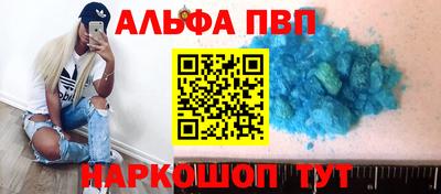 СК Бийск