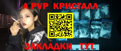 СК Бийск