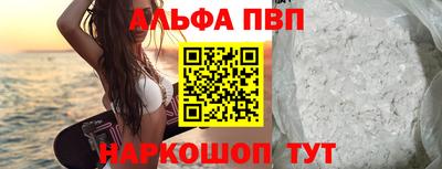 СК Бийск